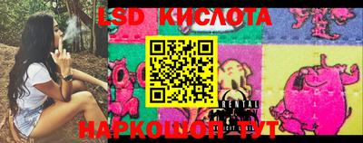 прущие крисы Кулебаки