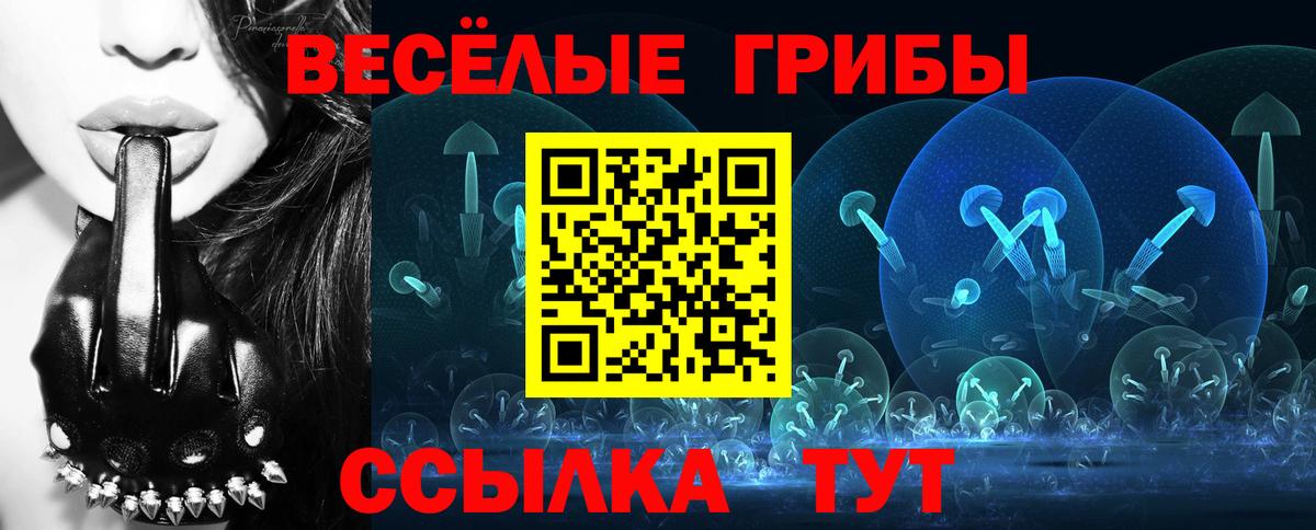 Канаш  Псилоцибиновые грибы Cubensis  Псилоцибиновые грибы ЛСД  Вход с VPN 