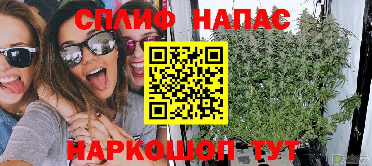 Конопля гибрид  Бошки марихуана семена  Канаш  Вход с VPN 